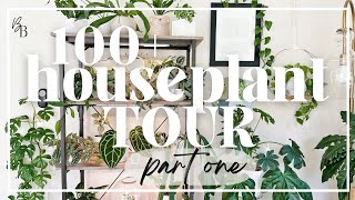 I Have OVER 100 Plants In My House | 2023 Houseplant TOUR | Plant Room + Shelfie | Plant Tour Part 1