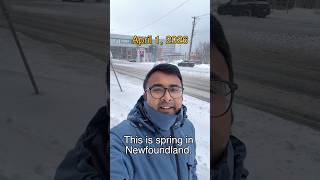 Spring got lost on the way to Newfoundland #wintervibes  #CanadaWeather #LifeInCanada
