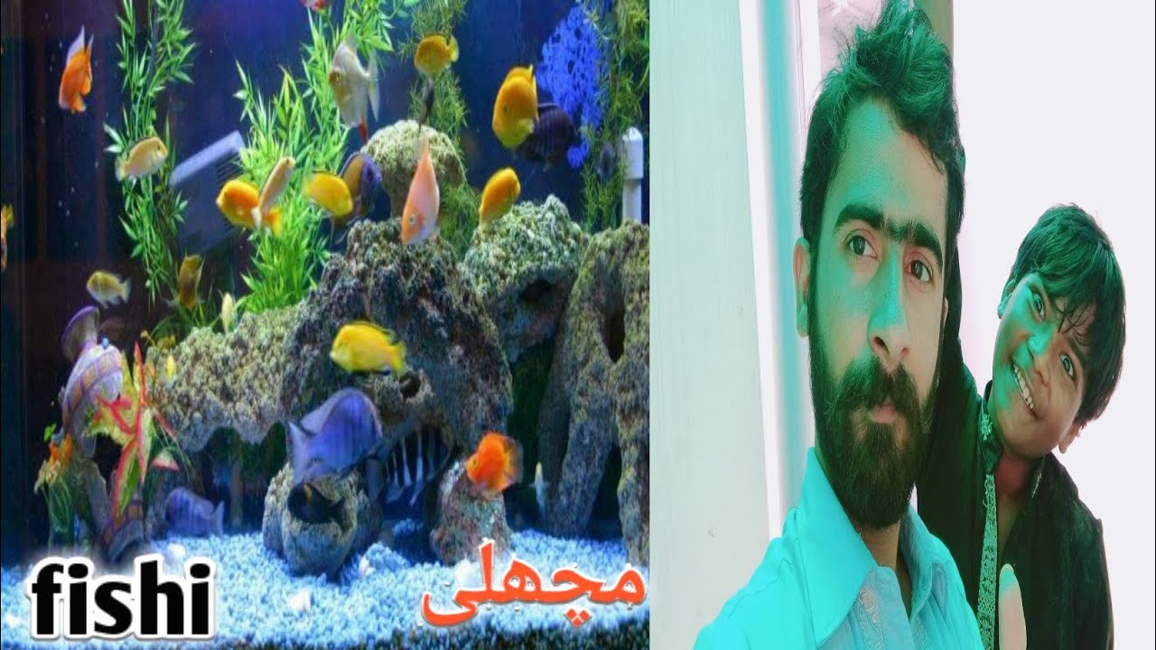 پاکستان کی سادہ لائف || Simple life of Pakistan || Fish quarium |Abid ...