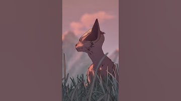 Viewport vs Render