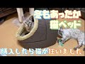 冬用ベッドを買ったら猫が狂いました