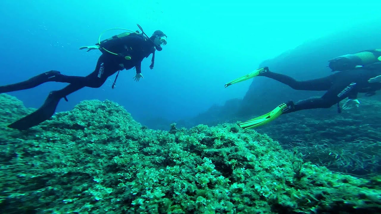 Submarinismo menorca - Isla de Tirant - YouTube