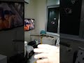Wing hurt