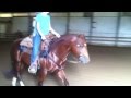 Stacy westfall and jacfirst ride in roxys saddle