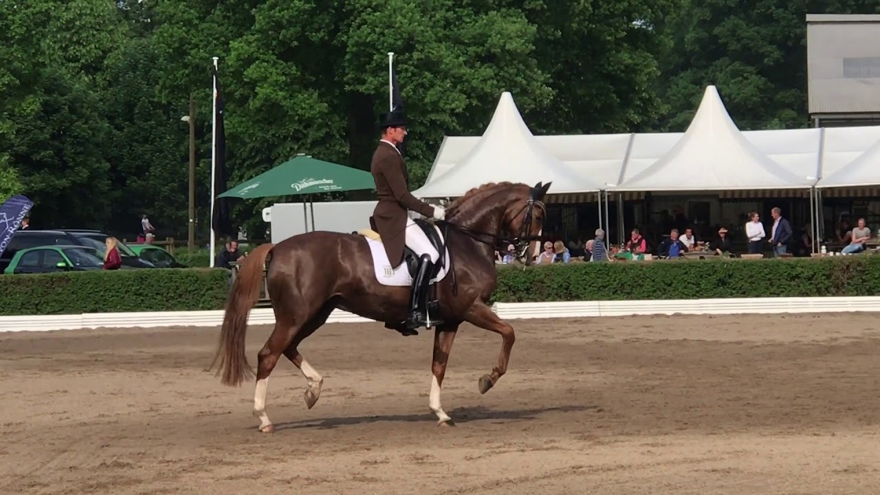 Dominic Nathanael Erhart Dominic Nathanael Erhart