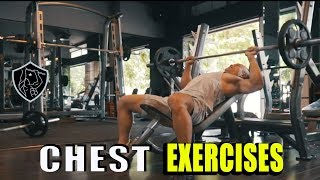 7Effective Chest Exercises For Beginners Gym
