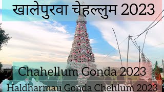 खालेपुरवा चेहल्लुम हलधरमऊ गोंडा | Khalepurwa Chehlum 2023