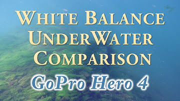 White Balance UnderWater Comparison (Adobe Sharpen Effect 60!!) | GoPro | Second Video