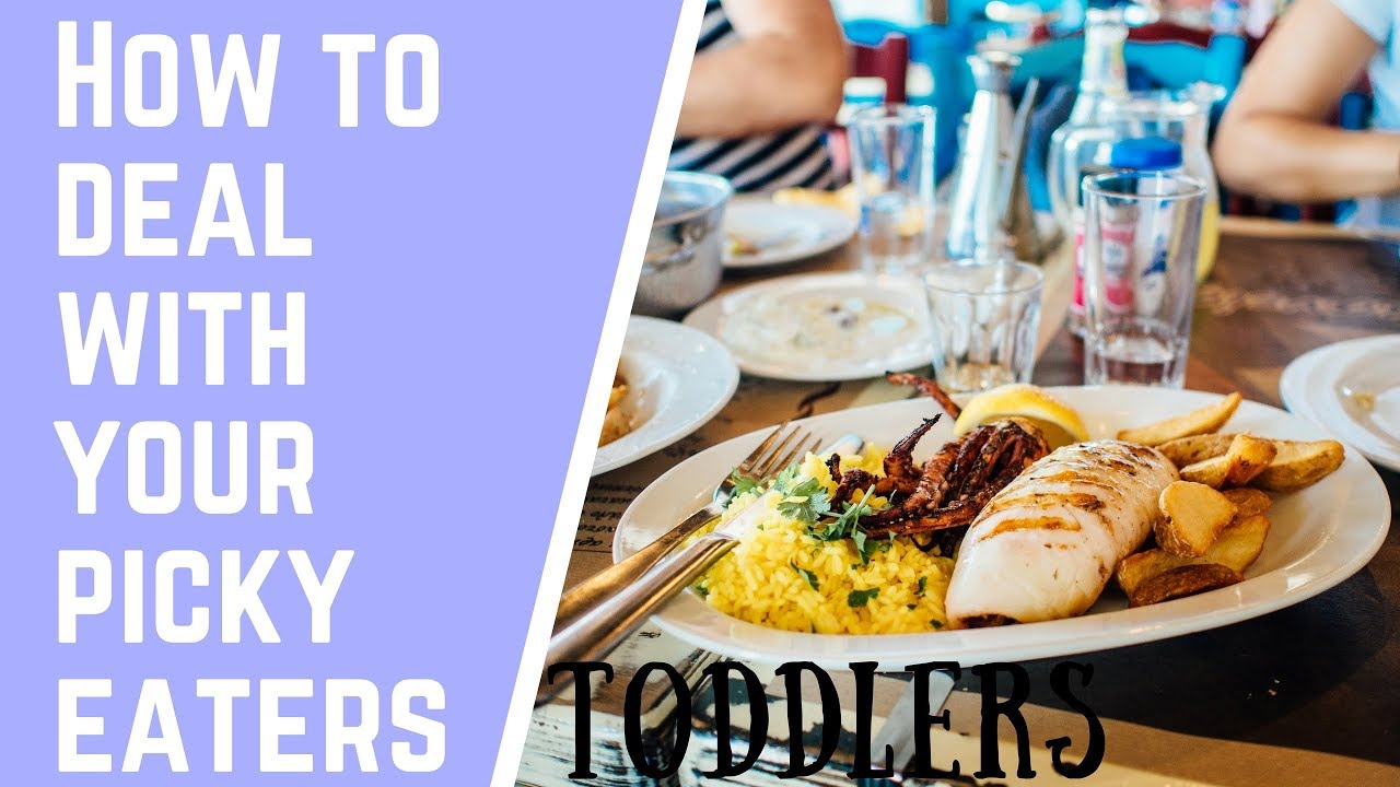 How to Deal with Fussy Eaters / Picky Eaters (Toddlers) | Nainja Kapoor