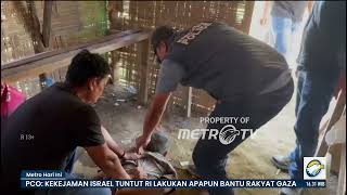 Polisi Tangkap Seorang Pengedar Sabu di Binjai [Metro Hari Ini]