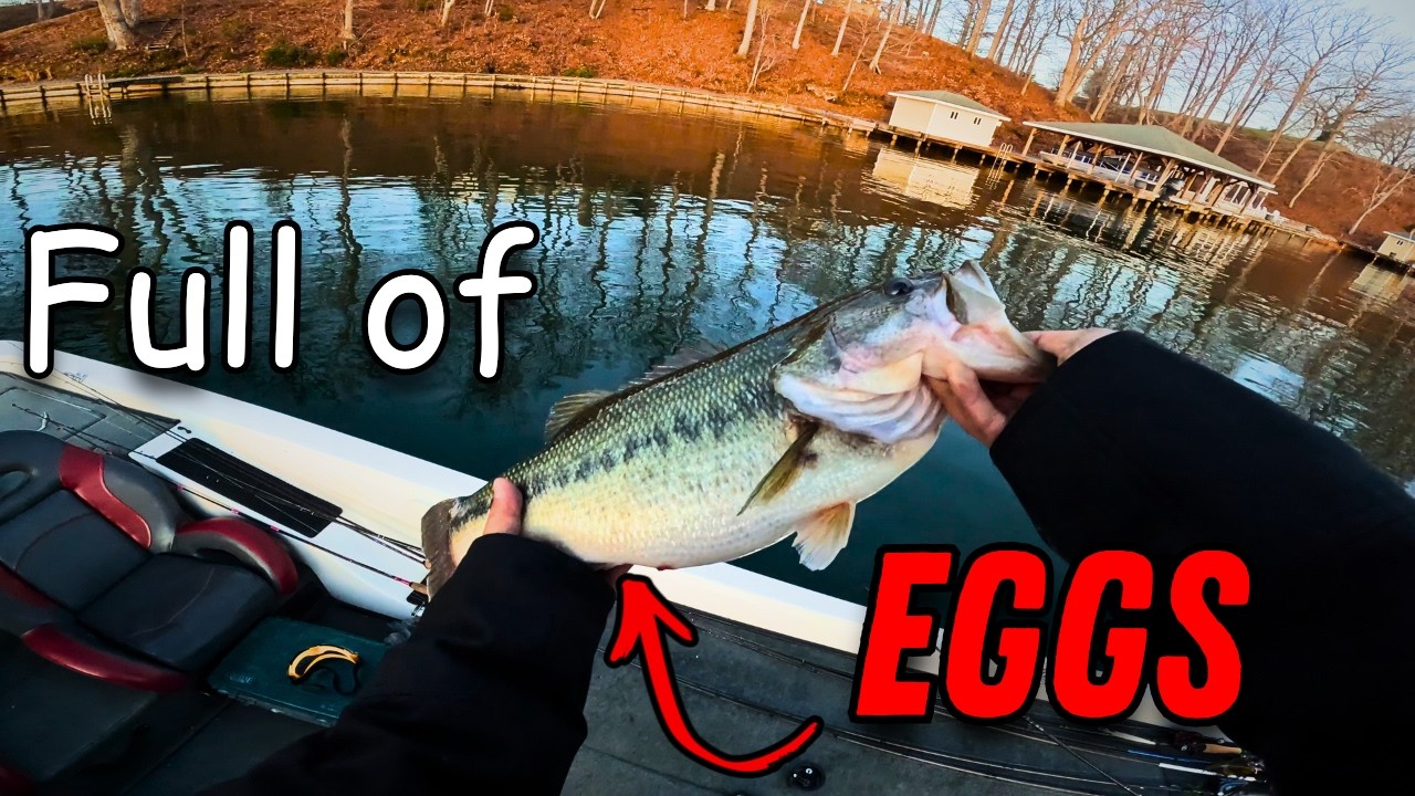 The Big Bass Bite is ON – Lake Anna Bass Fishing