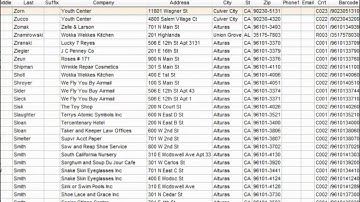 AccuZIP6 Tutorial: Introduction
