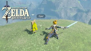 Killing All My Friends In Breath Of The Wild