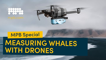 Tech Meets Conservation: Measuring Whales with Drones | MPB