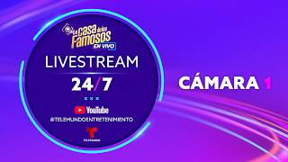 🔴 La Casa de los Famosos 6: EN VIVO 24/7 Cámara 1 🔴 | Telemundo Entretenimiento