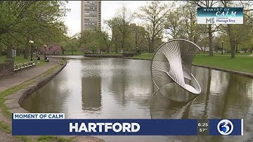 Moment of Calm: Bushnell Park in Hartford