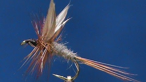 Fly Tying a Classic Dry Fly a Whirling Blue Dun with Jim Misiura
