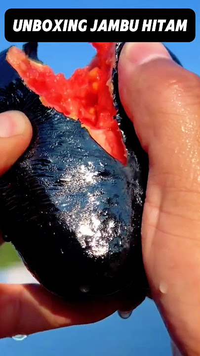Unboxing Jambu Hitam #buah #jambu #guava #fruit #shorts