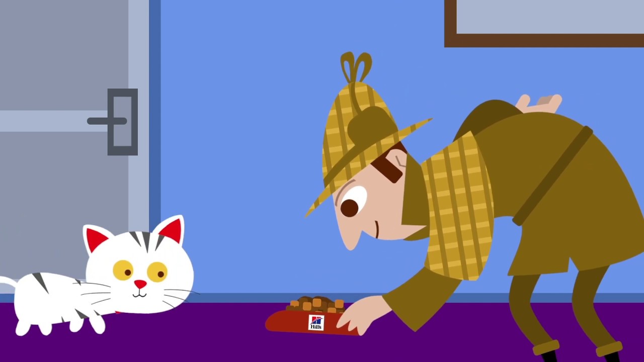 Wat is gehydrolyseerd eiwit in kattenvoer?