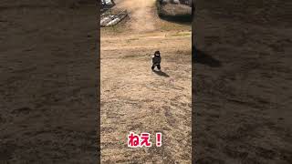 彼女を丘の上から突き落としてみた