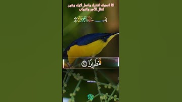 سورة الانسان #القرأن_الكريم #راحه_وهدوء #تلاوة_خاشعة  #إنما_نطعمكم_لوجه_الله
