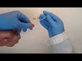 Fingerstick Whole Blood Collection Procedure
