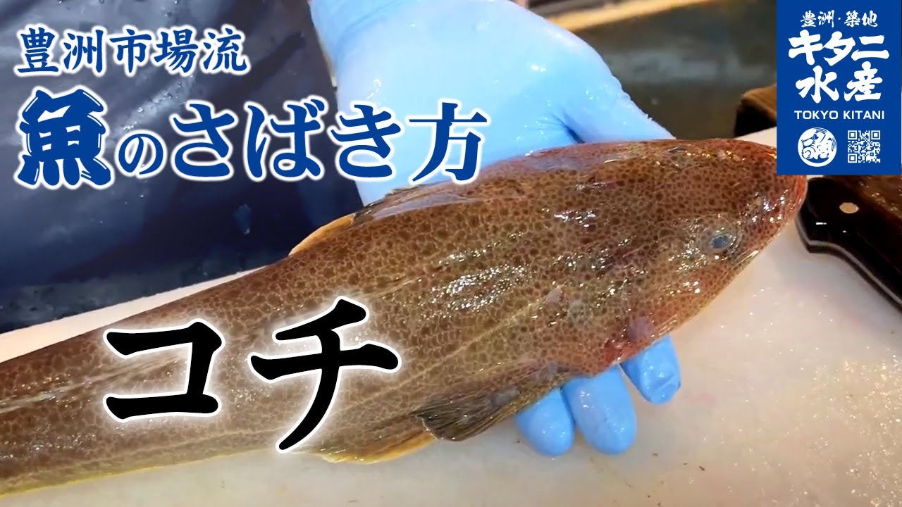 コチ 捌き 方
