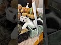 にぃにぃ「3年半前」