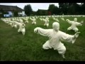 A most beautiful  music  tai chi   by paul hertzog from the mv  kickboxer 