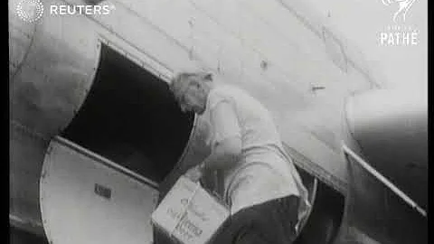 Australian millionaire Frederick Cotton flies need...