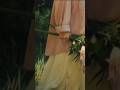 sahiba #music #song #aesthetic #shorts
