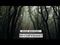 Dayfox - Jungle (Copyright Free Music And Song)