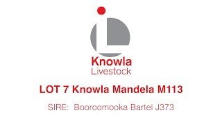 Knowla Livestock Lot 7