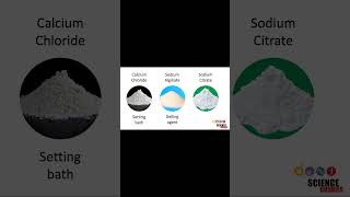 Steps of the Scientific Method Part 2: Background Research and Hypothesis