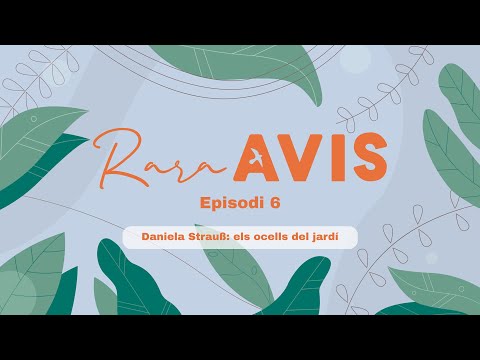 Daniela Strauß: els