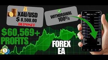How To Get The Best Forex Robots For MT5 IN 2025