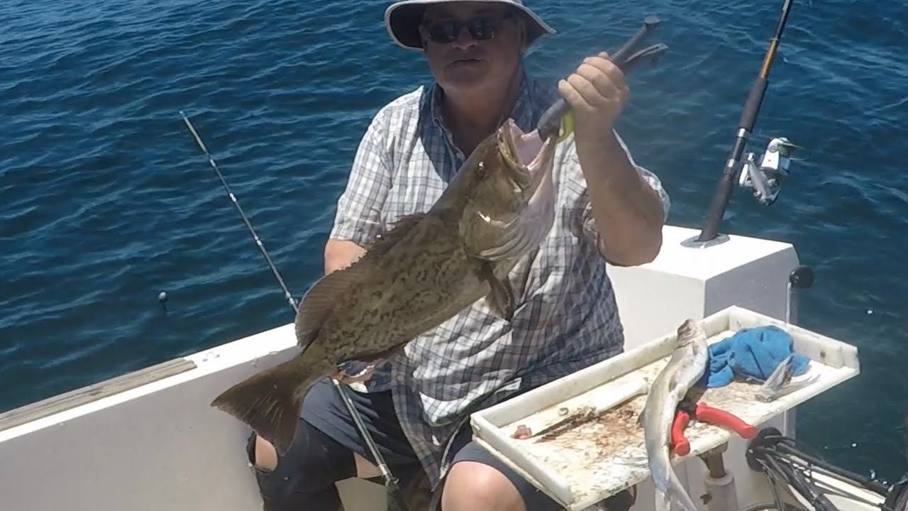 Offshore fishing Horseshoe Beach. 622022 YouTube