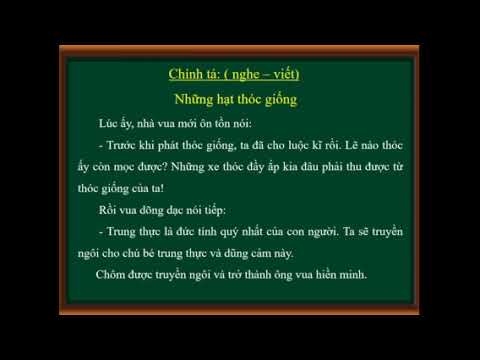 Video CHÍNH TẢ 4- NGHE VIẾT: NHỮNG HẠT THÓC GIỐNG - youtube