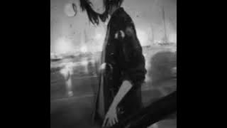 Gato - Povestea ta 💔