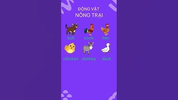 Dạy bé học từ vựng tiếng anh tên các ĐỘNG VẬT NÔNG TRẠI / FARM ANIMALS / #daybehoctienganh #voitv