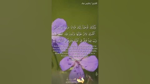 سورة الشورى ❤️🏞️