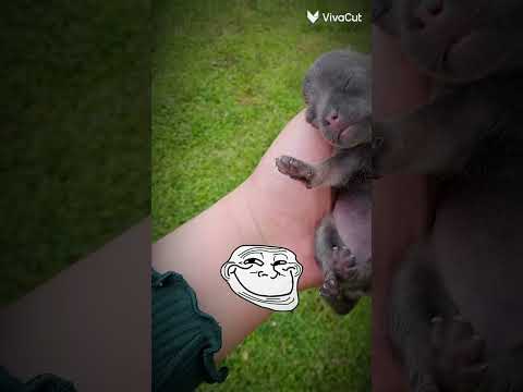 21 De Agosto De 2025