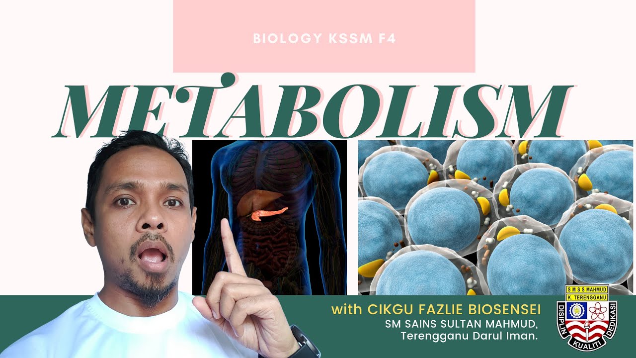 BIOLOGY KSSM F4 : 5.1 METABOLISM