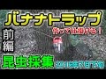 【カブトムシ・クワガタ】 昆虫採集 2016年7月下旬 前編 / 【Beetles】 Insect Collecting in late July 2016 vol.1