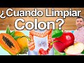 CÓMO SABER SI TE DEBES LIMPIAR EL COLON? - Cómo, Cuándo Y Con Qué Frecuencia Debes Limpiar El Colon