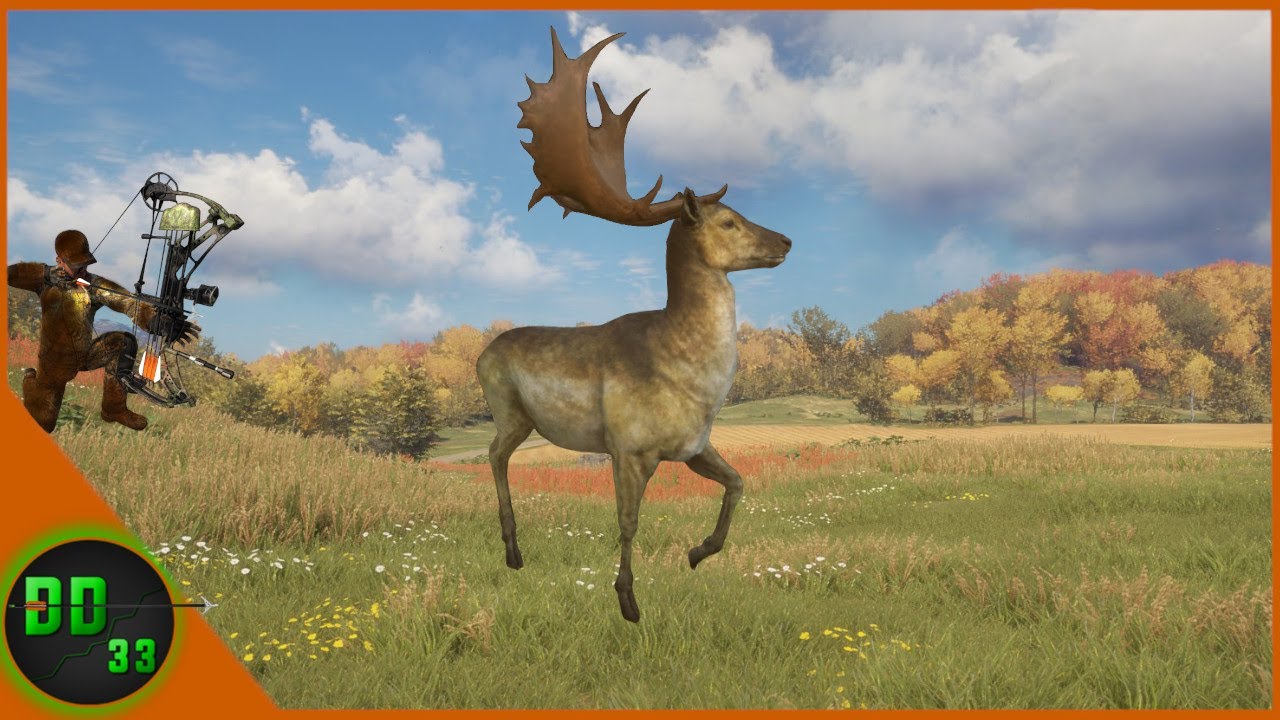 A Very Special Fallow Buck! Call Of The Wild YouTube