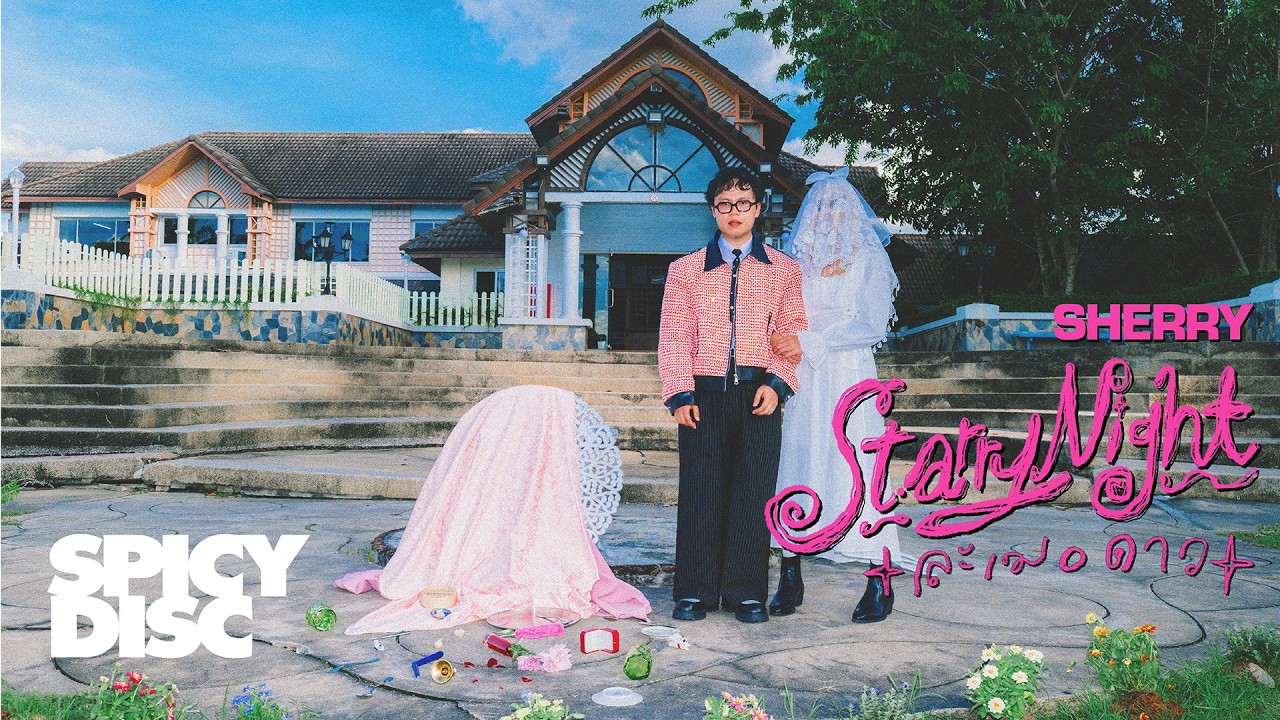 ปกเพลง ละเมอดาว (Starry Night) — PROJECT H