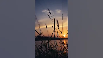 ماهر المعيقلي سورة الكهف اسلام صبحي السديس القرآن الكريم اكسبلور Islamicprayer راحة نفسية 