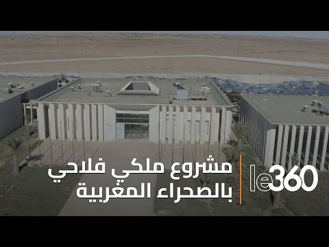 المعهد الإفريقي للأبحاث الزراعية بالعيون مشروع ملكي أعاد الاعتبار للنبات والمواشي بالصحراء المغربية
