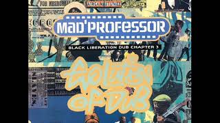 Mad Professor ‎– Evolution Of Dub (1996)